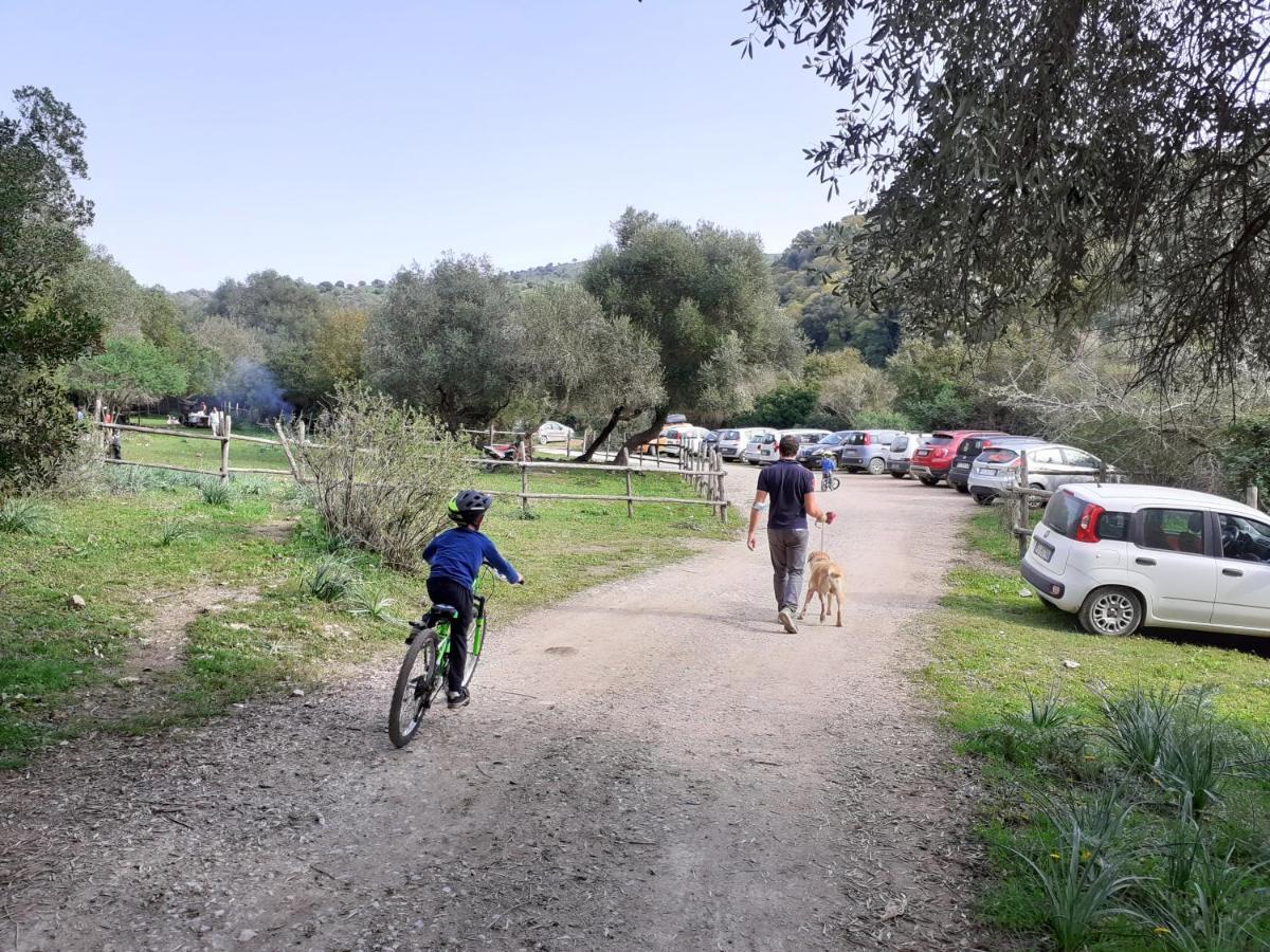 Country house Dimora Il Camaleonte In Nature With Pool