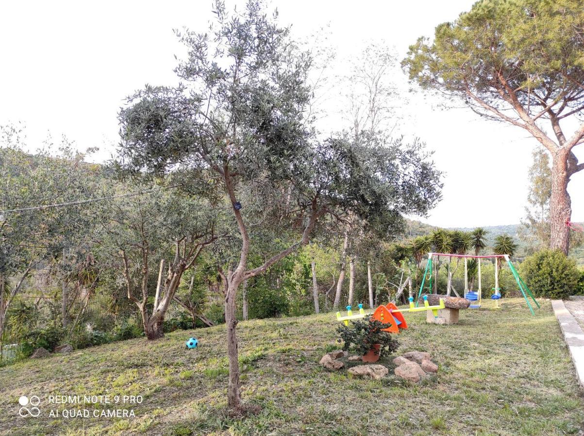 Dimora Il Camaleonte In Nature With Pool Country house Civitavecchia