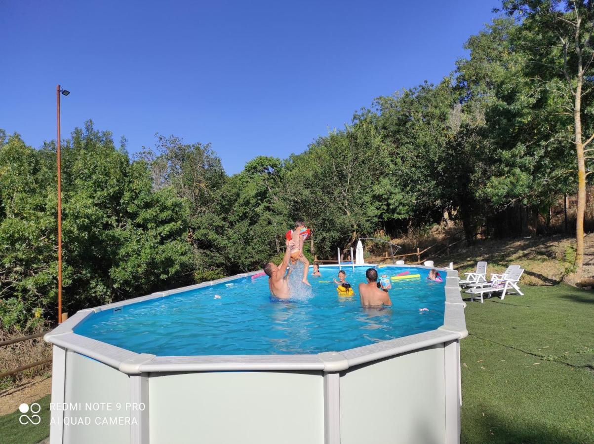 Dimora Il Camaleonte In Nature With Pool